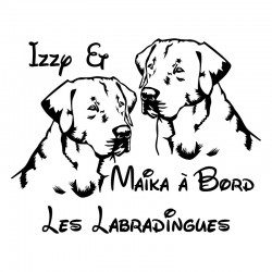 Les_Labradingues