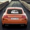 Audi_TT_Idf-Nord