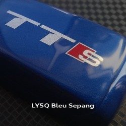 LY5Q_Bleu_Sepang