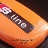 LY2G_Orange_Glut