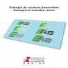 Sticker-Etriers-Audi-RS Sticker-Etriers-Audi-RS