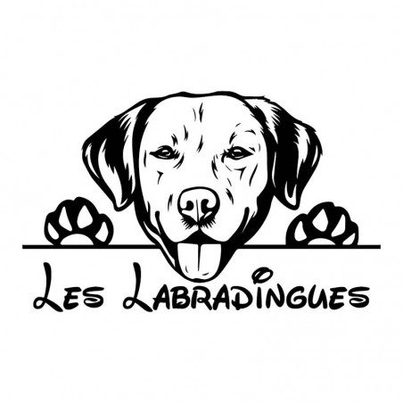 Les_Labradingues_sticker_noir