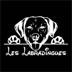 Les_Labradingues_sticker_blanc